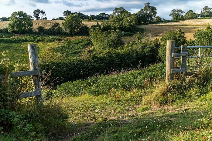 Marsh meadow park from Bramble park field